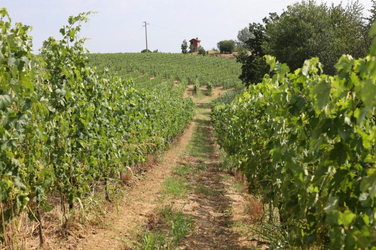 Braida Wine Resort Rocchetta Tanaro Екстериор снимка