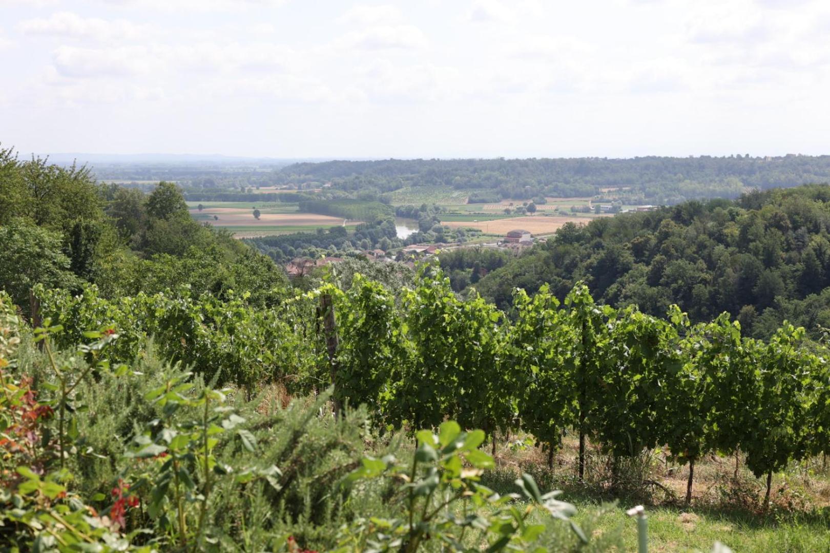 Braida Wine Resort Rocchetta Tanaro Екстериор снимка